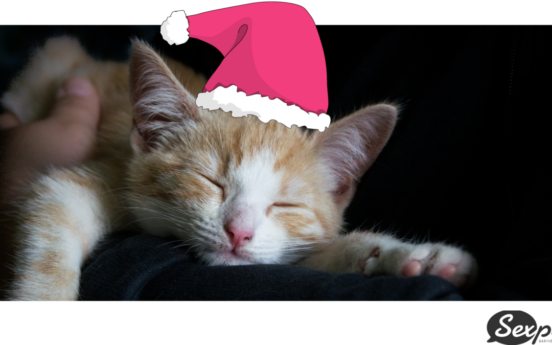 Sexpon neuvonta jää joululomalle 14.12.